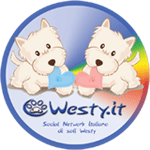 westy a bordo