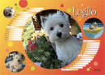 concorso calendario westie