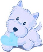 Westie, Westy