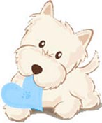 Westie, Westy