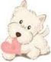 Immagine Westie