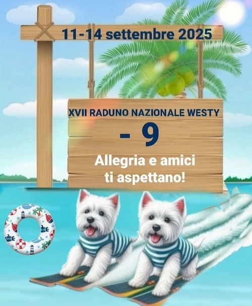 https://www.westy.it/images/17radunowesty/xviirad-09-02.jpg