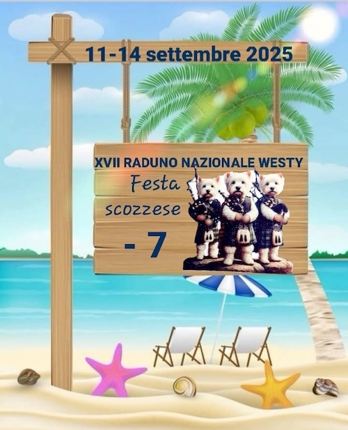 https://www.westy.it/images/17radunowesty/xviirad-09-04.jpg