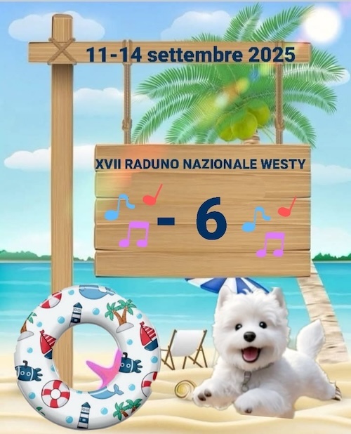 https://www.westy.it/images/17radunowesty/xviirad-09-05.jpg