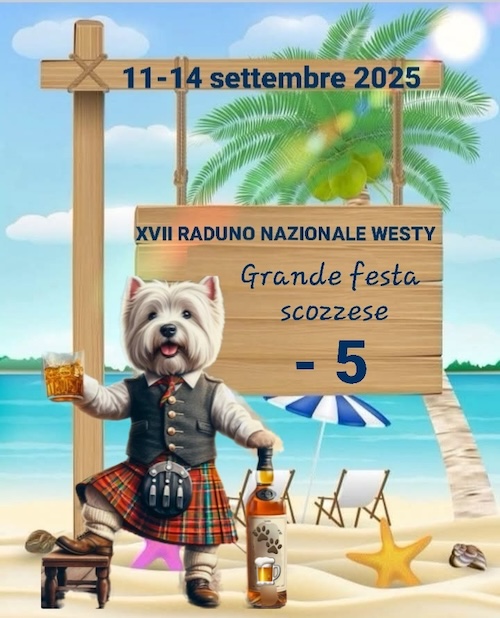 https://www.westy.it/images/17radunowesty/xviirad-09-06.jpg