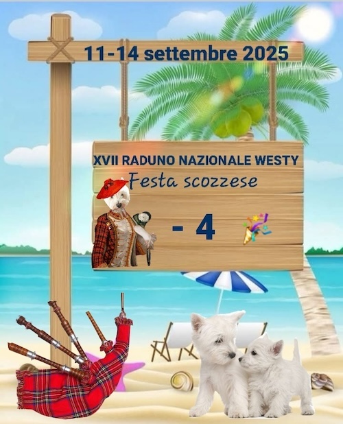 https://www.westy.it/images/17radunowesty/xviirad-09-07.jpg