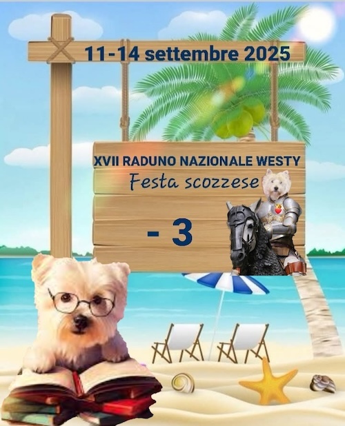 https://www.westy.it/images/17radunowesty/xviirad-09-08.jpg