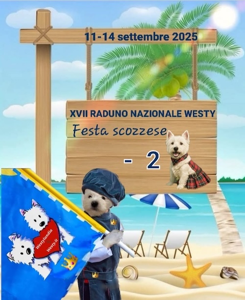 https://www.westy.it/images/17radunowesty/xviirad-09-09.jpg