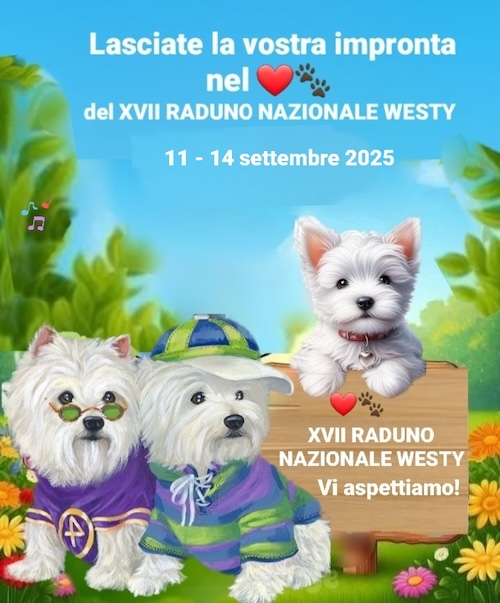 https://www.westy.it/images/17radunowesty/xviirad-09-11.jpg