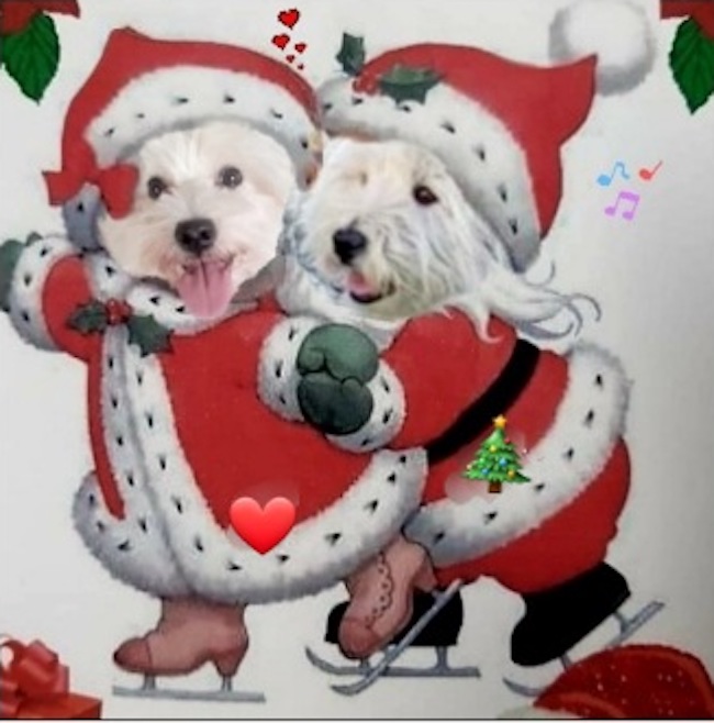Calendario Avvento Westy