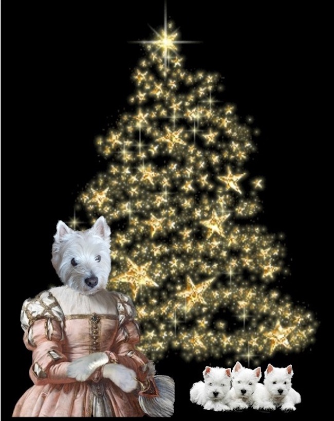 Calendario Avvento Westy