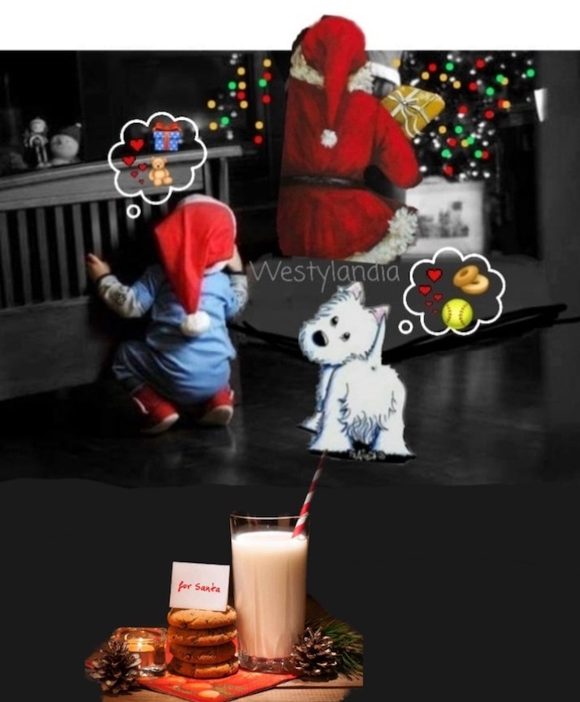 Calendario Avvento Westy