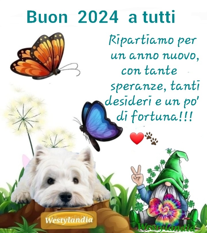 Buon Anno Westy