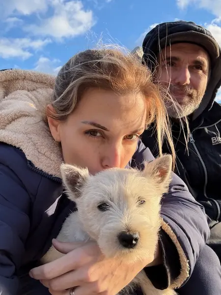 Come gestire il vomito nel cane a casa