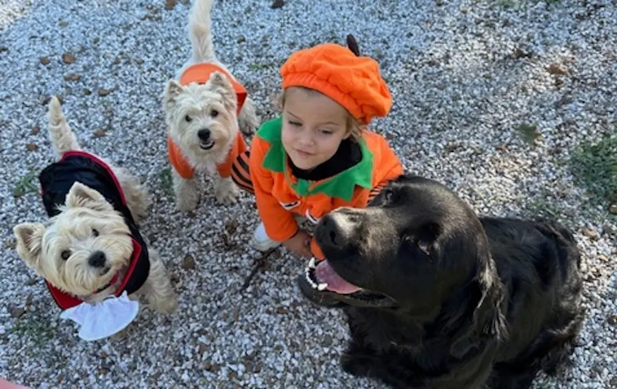 Allevamento L'Isola dei Terrier