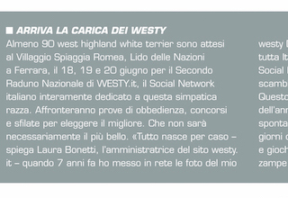 Immagine Giornale
