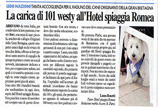 Immagine Giornale