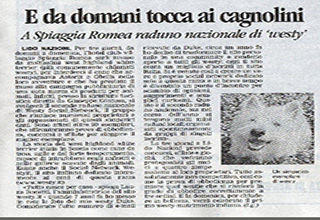 Immagine Giornale