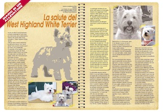 Immagine Giornale
