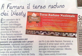 Immagine Giornale