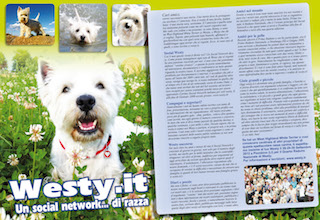 Immagine Giornale
