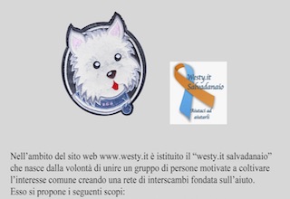 Immagine Giornale