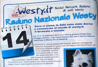 Immagine Giornale