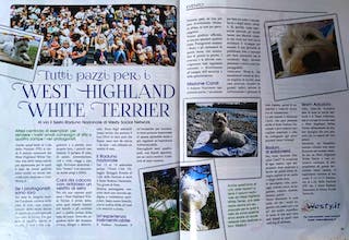 Immagine Giornale