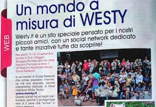 Immagine Giornale