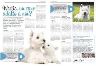 Immagine Giornale