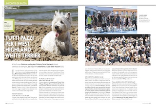 Immagine Giornale