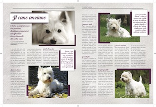 Immagine Giornale