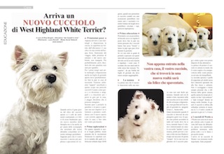 Immagine Giornale