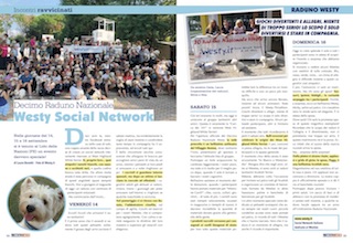 Immagine Giornale