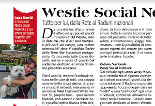 Immagine Giornale