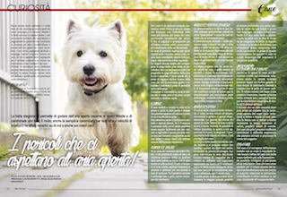 Immagine Giornale