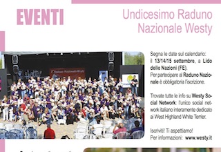 Immagine Giornale