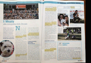 Immagine Giornale
