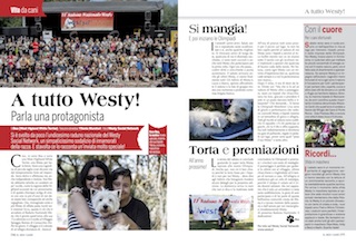 Immagine Giornale