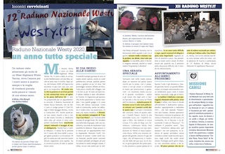 Immagine Giornale