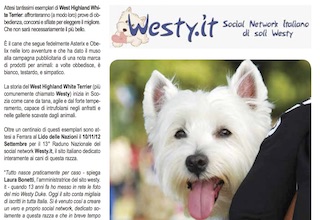 Immagine Giornale