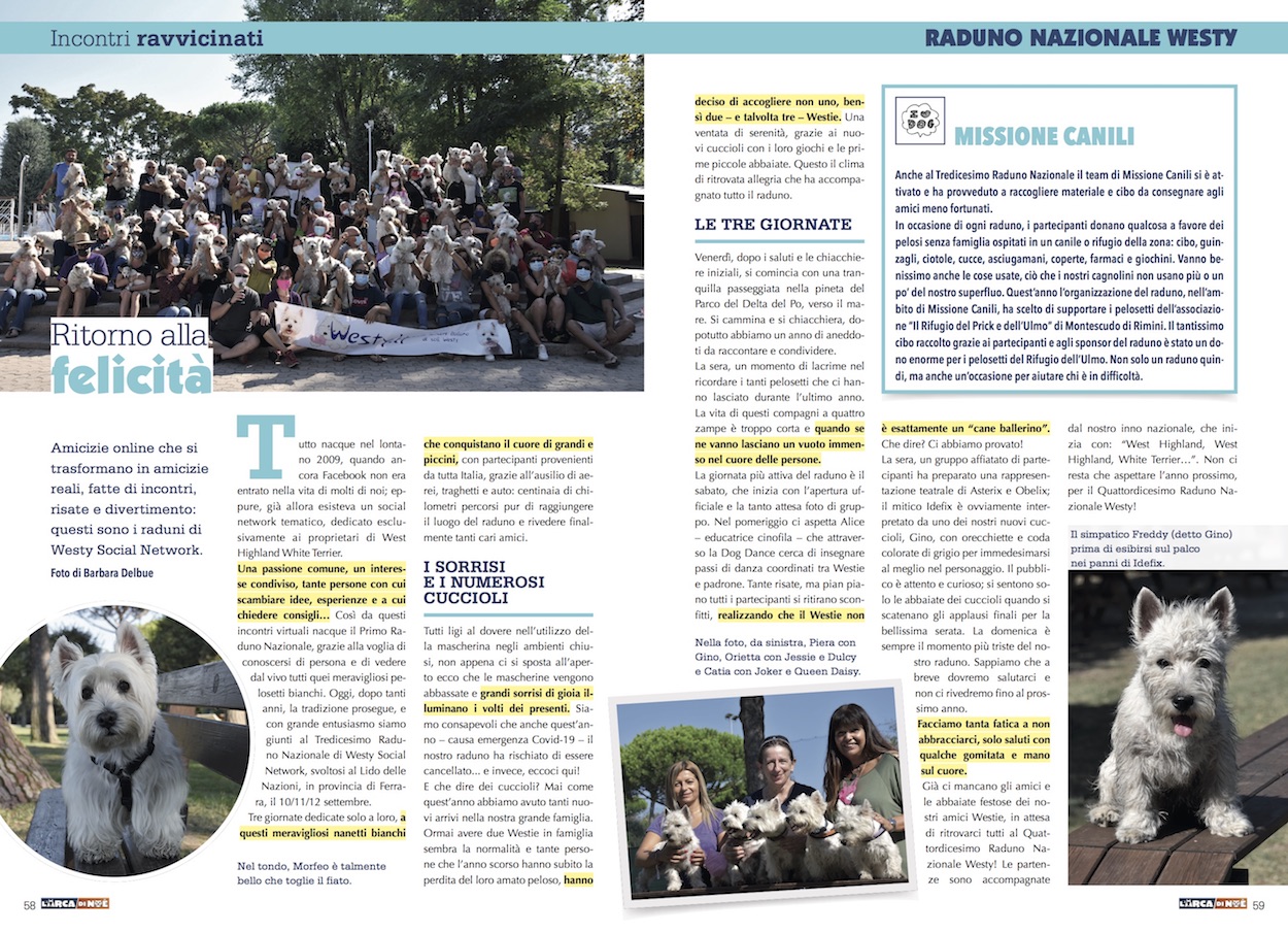Immagine Giornale