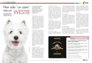 Immagine Giornale