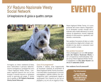 Immagine Giornale
