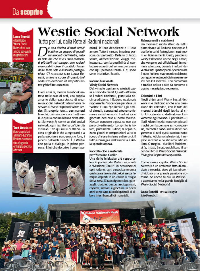 Articoli che parla di westy