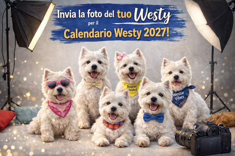 Calendario Westie