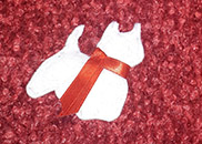 Logo di Roger e Toffe