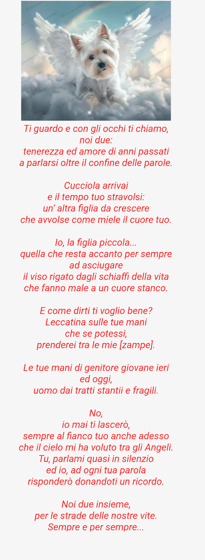 Poesia Phoebe