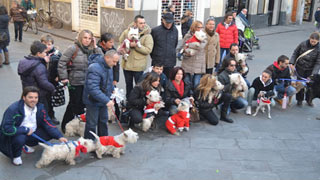 Foto Gruppo Raduno