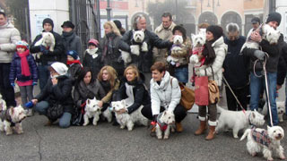 Foto Gruppo Raduno